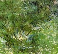 Clumps of Grass Vincent van Gogh